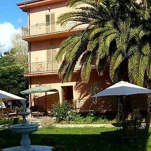 Un Posto Al Sole - Paola